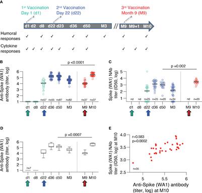 Rapid transient and longer-lasting innate cytokine changes associated with adaptive immunity after repeated SARS-CoV-2 BNT162b2 mRNA vaccinations